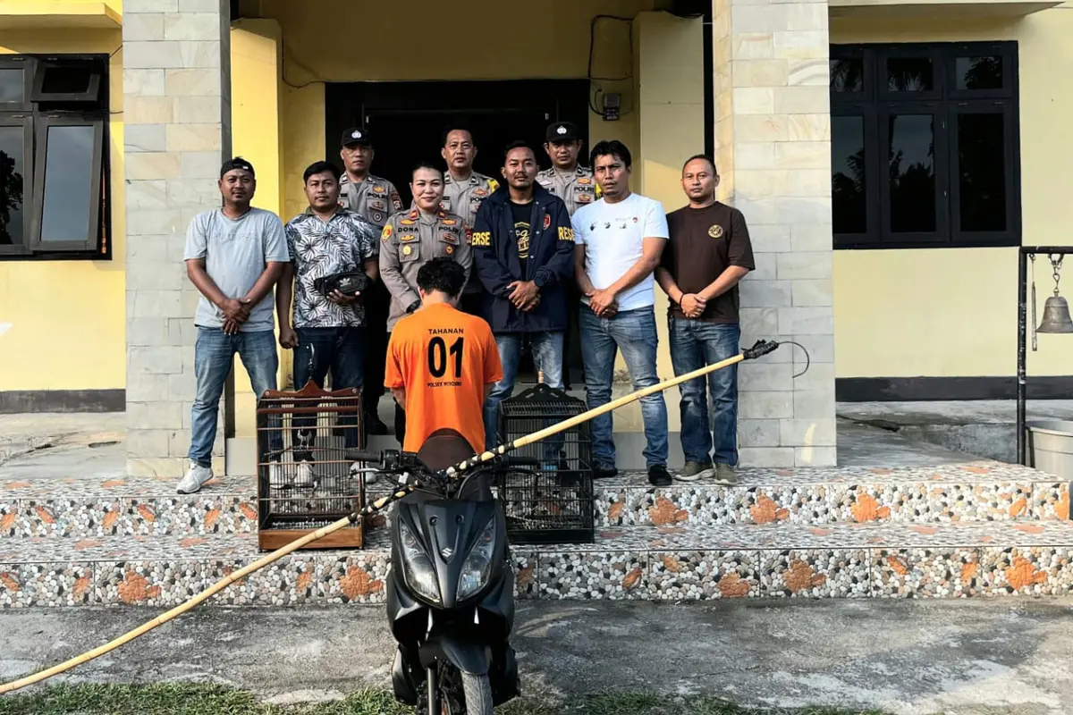 ASN di Tanggamus Ditangkap Polisi Usai Curi Burung Jalak Suren, Uangnya Dipakai Beli Sabu