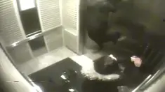 Tamara Seibert (25) di Toronto, provinsi Ontario (Canada), tergopoh-gopoh berusaha menyelamatkan Vado, anjing jenis Rottweiler miliknya.