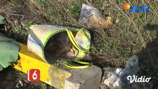 VIDEO: Pasutri Tewas Ditabrak KA Barang dari Jakarta ke Surabaya