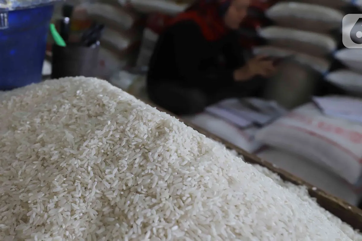 Antisipasi El Nino, 6 Provinsi Bakal Jadi Tulang Punggung Pasokan Beras Nasional