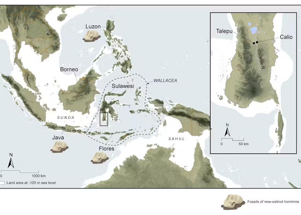 temuan artefak di sulawesi