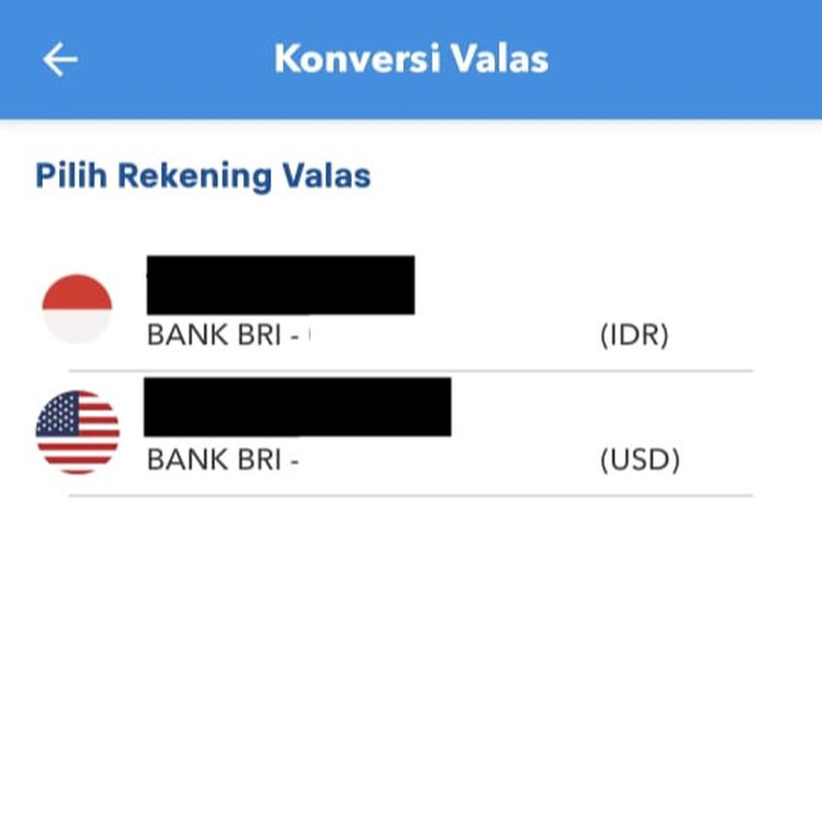 Cerita Wanita di Yogya Pernah Tertipu Rp10 Juta saat Beli Dolar, Kini Pilih BRImo sebagai Cara Aman Menabung Valas