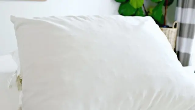 Cara Mudah Bersihkan Bantal Pakai Bahan Dapur, Cobain Deh