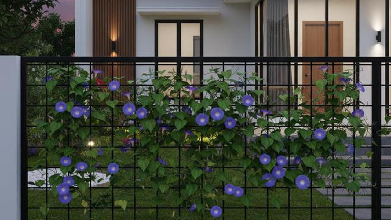 7 Model Pagar Besi Modern Kombinasi Tanaman Rambat, Tampil Alami dan Estetik untuk Hunian 2025