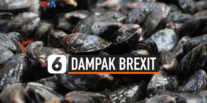 VIDEO: Brexit Hantam Sektor Perikanan Inggris