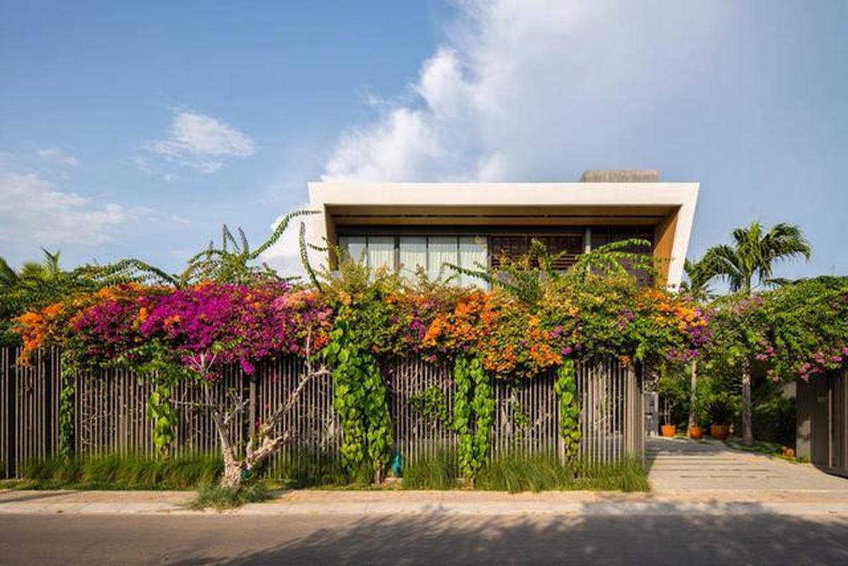 10 Model Tampak Depan Rumah Minimalis Asri dengan Tanaman Rambat, Bikin Hunian Teduh