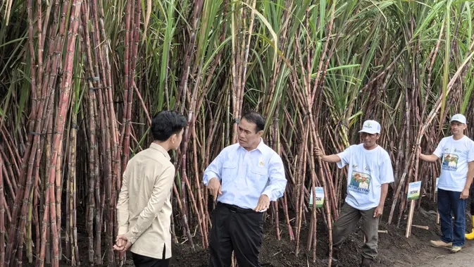 Mentan Tegaskan Komitmen Swasembada Gula di Hadapan Wapres dan Petani