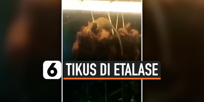 VIDEO: Tikus Makan Daging di Etalase Restoran, Pengunjung Shock