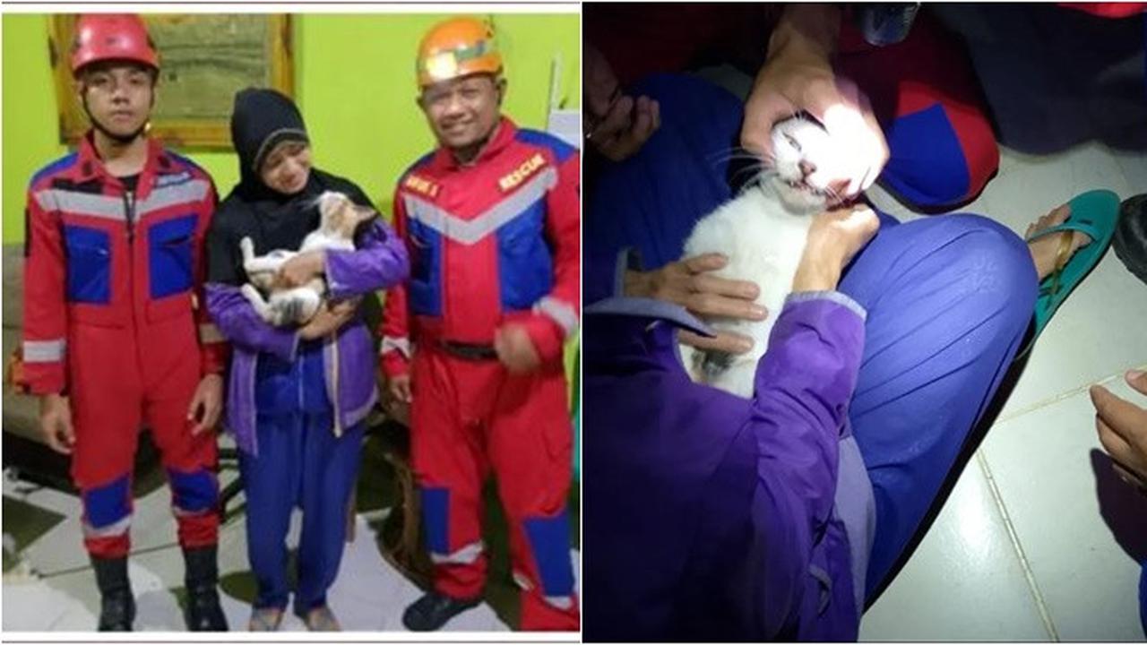Momen Damkar Selamatkan Kucing Tersedak Tulang Ikan, Berlangsung Dramatis