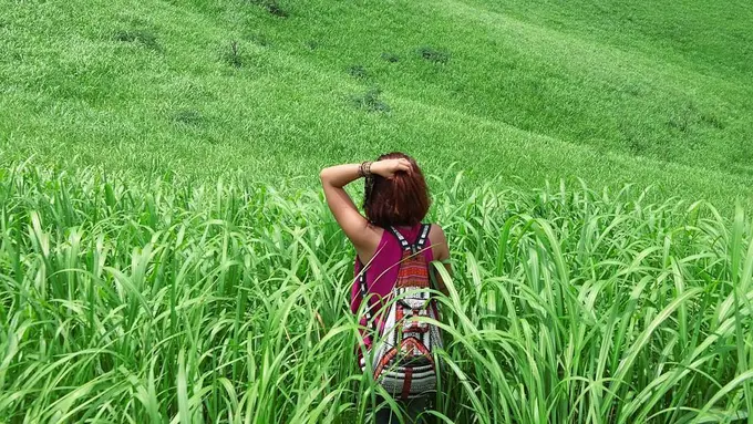 [Bintang] Kalimantan Selatan