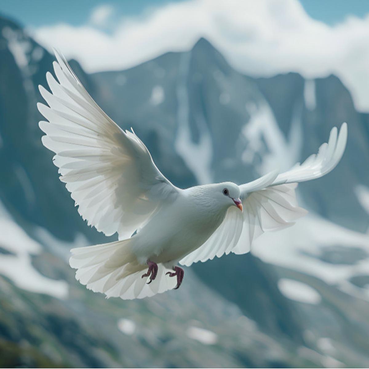 Ilustrasi merpati