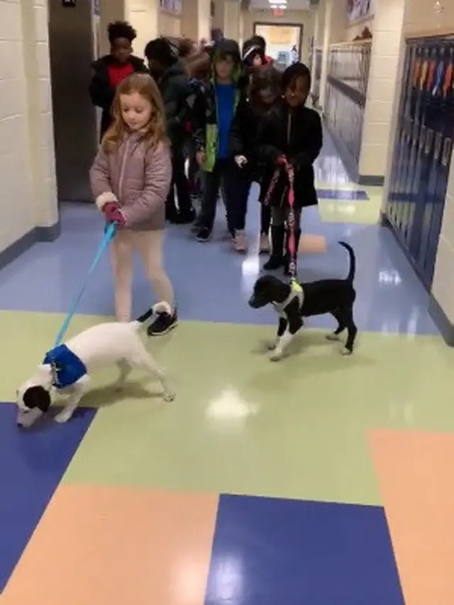 Seorang Guru Memelihara Anak Anjing di Kelas, Baik untuk Perkembangan Siswa