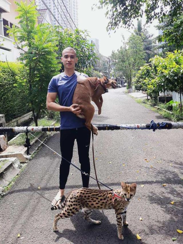 Artis Tanah Air Pelihara Kucing Harga Fantastis