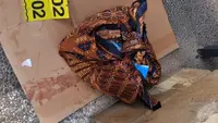 Geger Penemuan Mayat Bayi di Tempat Sampah Bandar Lampung