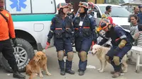 Anjing pelacak milik Basarnas yang dilibatkan dalam pencarian korban gempa Aceh. (Liputan6.com/Windy Phagta)