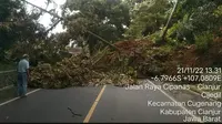 Jalan Nasional Tertutup Longsor Dampak Gempa Cianjur, Kementerian PUPR Kirim Alat Berat
