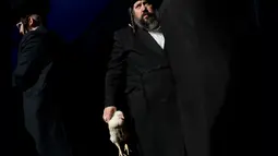 Seorang pria Yahudi ultra-Ortodoks memegang seekor ayam selama ritual Kaparot di Bnei Brak, Israel, Minggu (16/9). Sebagian percaya ritual Kaparot akan membebaskan mereka dari dosa-dosa yang ditransfer ke ayam yang dipotong. (AP/Oded Balilty)