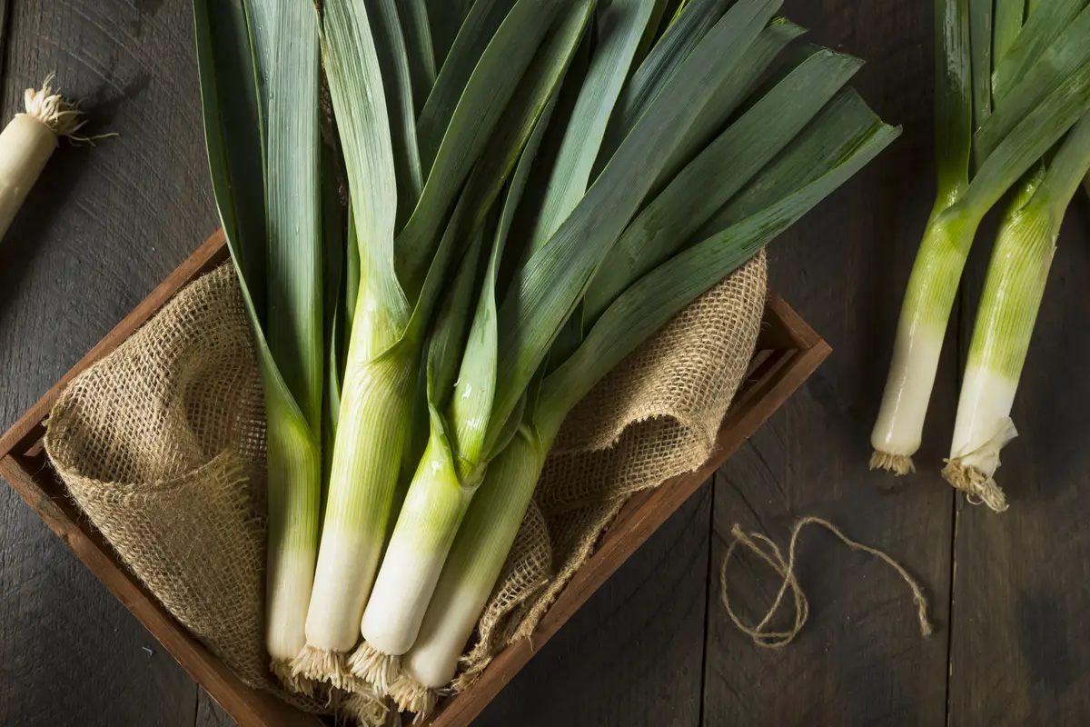 Daun Bawang