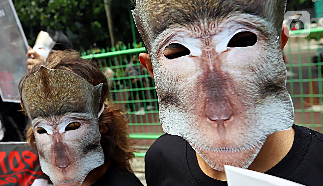 Massa aksi yang tergabung dalam Koalisi Monyet Ekor Panjang (Gabungan Animal Friends Jogja dan Aksi Peduli Monyet) menggelar unjuk rasa di depan Kementerian Lingkungan Hidup dan Kehutanan, Jakarta Pusat, Senin (23/5/2022). Dalam aksinya, mereka mendesak Menteri LHK Siti Nurbaya Bakar untuk segera menindaklanjuti praktik perdagangan monyet di Indonesia. (Liputan6.com/Johan Tallo)