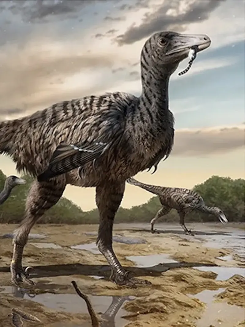 Ahli Paleontologi Temukan Jejak Dinosaurus di China, Diduga Raptor Terbesar di Dunia