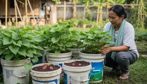 Cara Menanam Ubi Jalar dengan Batangnya: Panduan Lengkap dari Stek hingga Panen