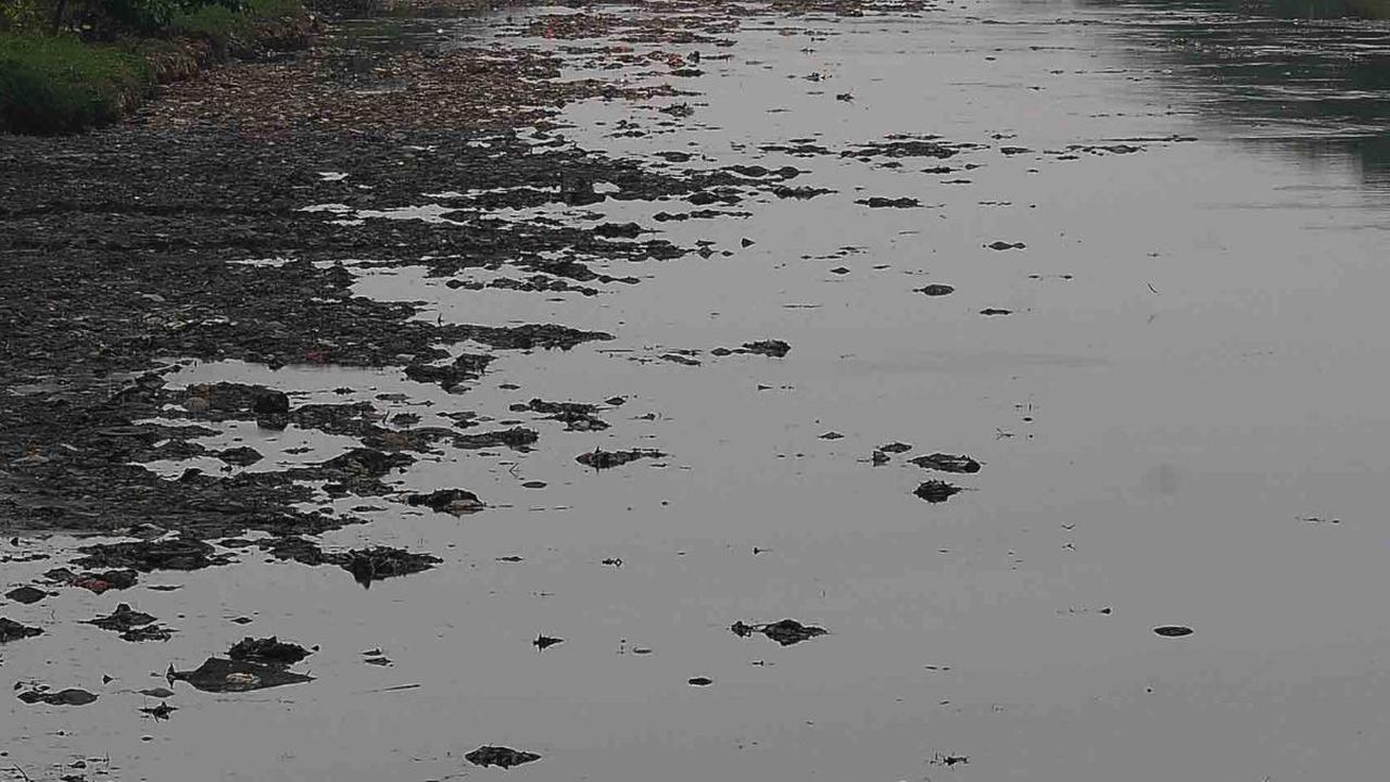 Surutnya air Kanal Banjir Timur dipengaruhi musim kemarau sehingga membentuk daratan sungai.