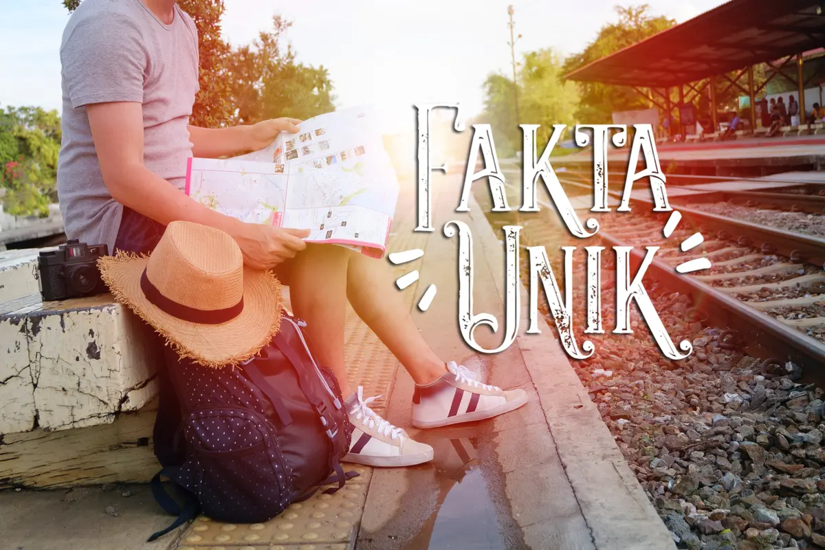 [Bintang] Fakta Unik
