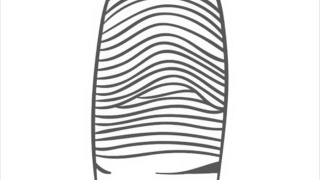 pola sidik jari Curve (brightside)