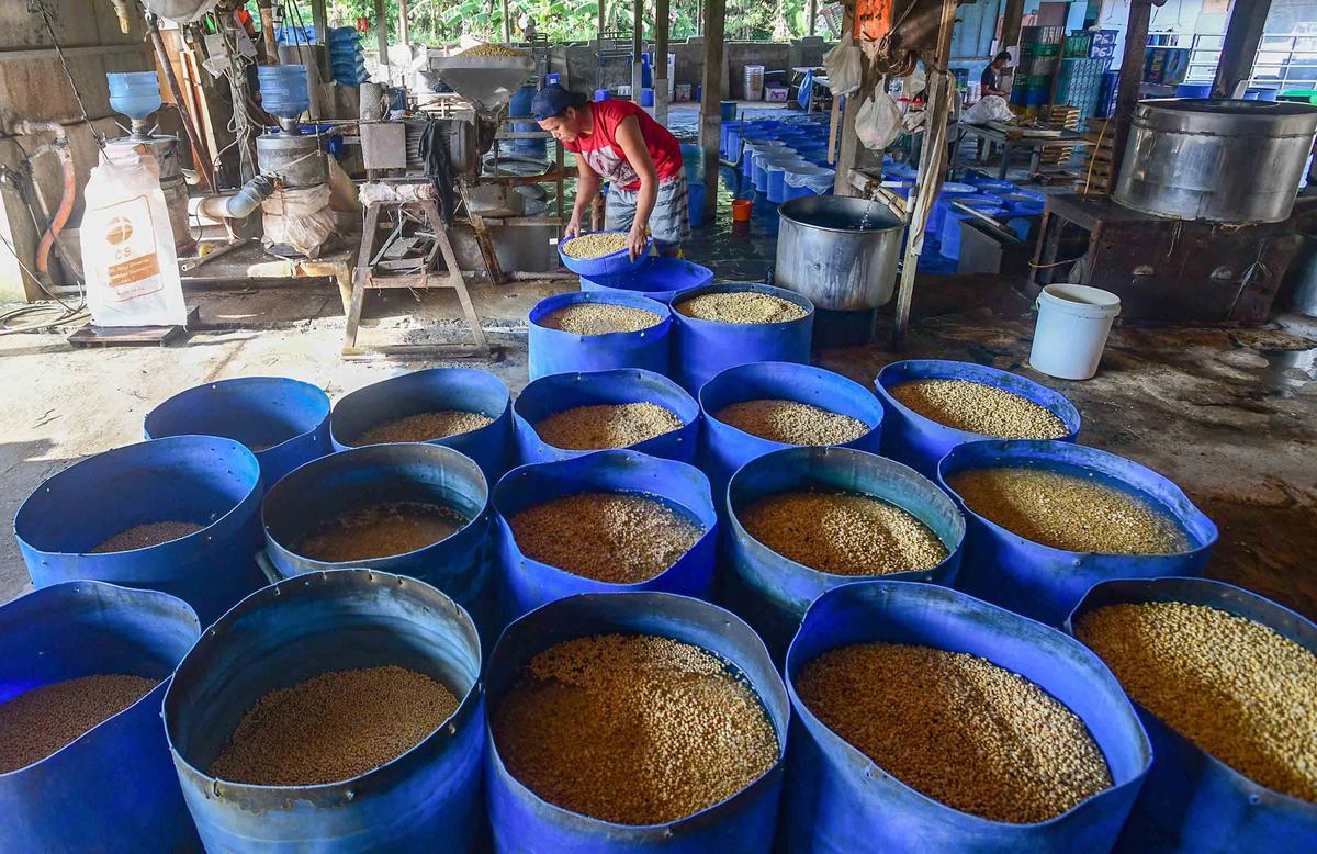 FOTO: Harga Kedelai Impor Naik Produsen Tahu di Depok Kurangi Ukuran Produk