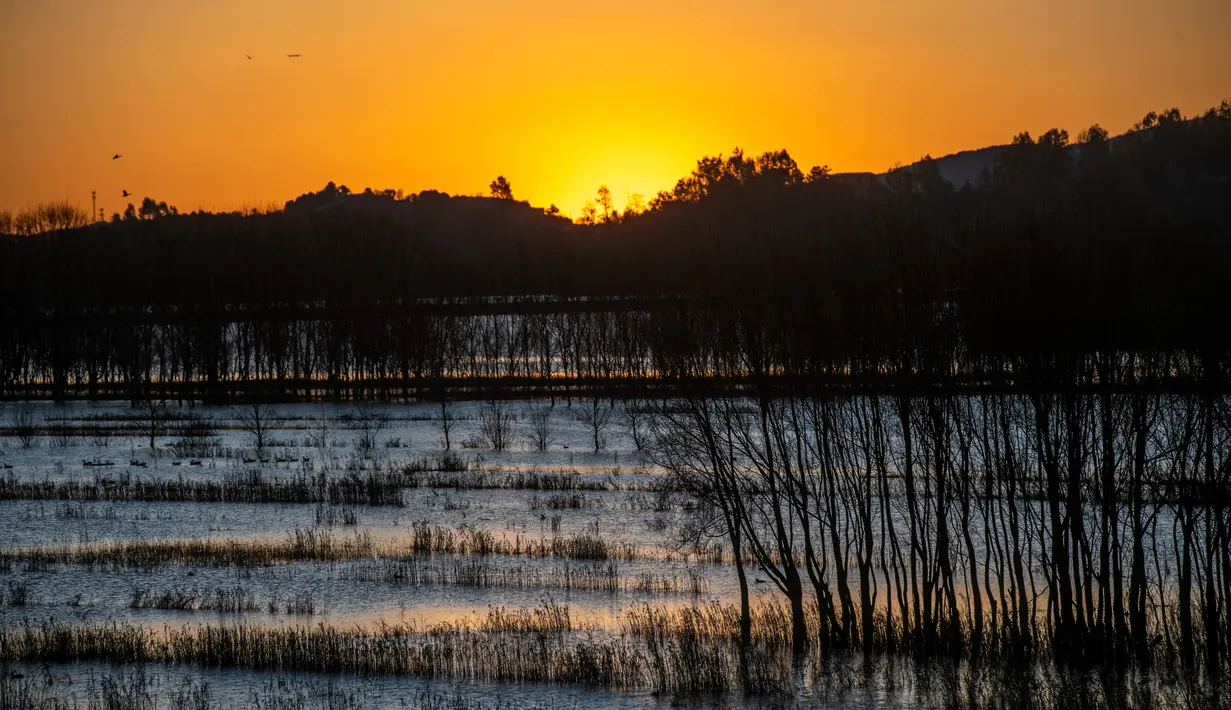 Foto yang diabadikan pada 19 November 2020 ini menunjukkan pemandangan Danau Nianhu di Wilayah Huize, Kota Qujing, Provinsi Yunnan, China barat daya. (Xinhua/Hu Chao)