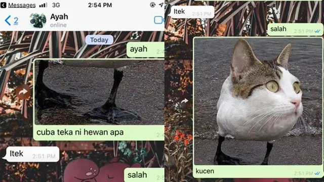 6 Chat Tebak Gambar Ini Sukses Bikin Kamu Ikut Emosi