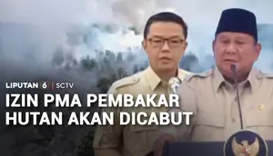 Perusahaan Asing Terancam Kehilangan Izin Jika Terbukti Bakar Hutan