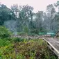Suasana camp mining 81 di Kampung Kawe, Distrik Awimbon, Kabupaten Pegunungan Bintang, Papua usai diserang dan dibakar KKB. (dok Polda Papua)