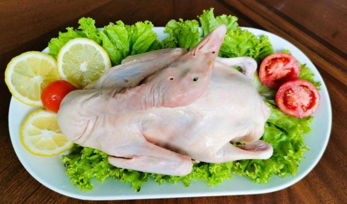 Manfaat Daging Bebek
