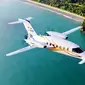 Pesawat Susi Air type Piaggio P-180 Avanti II. (Dok susiair.com)