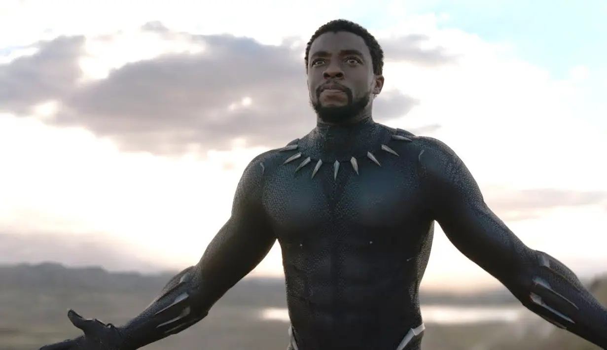 <p>Black Panther. (Marvel Studios)</p>