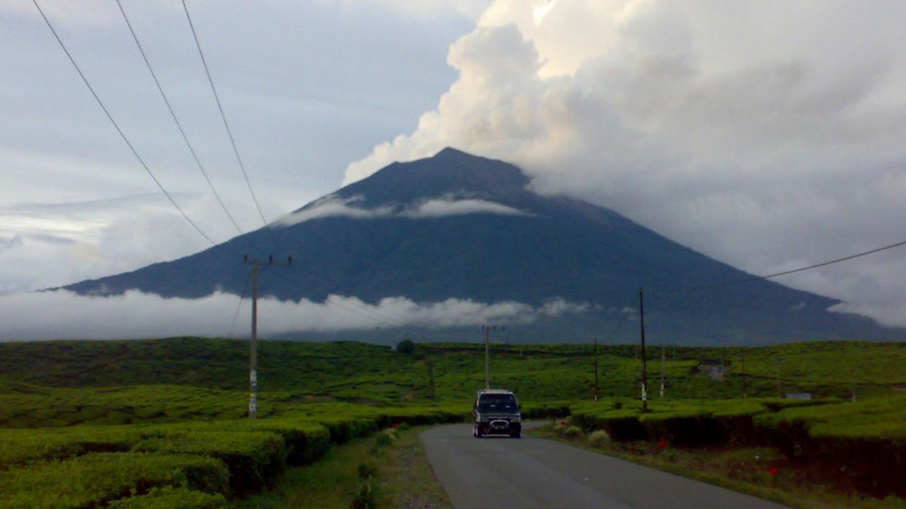 <b>Manusia Harimau atau Cindaku</b>