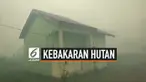 Kebakaran Lahan dan Hutan di Kota Sampit meluas ke permukiman warga. Warga perumahan panik dan berusaha menyelamatkan diri. Petugas berusaha memadamkan api dan mengevakuasi warga.