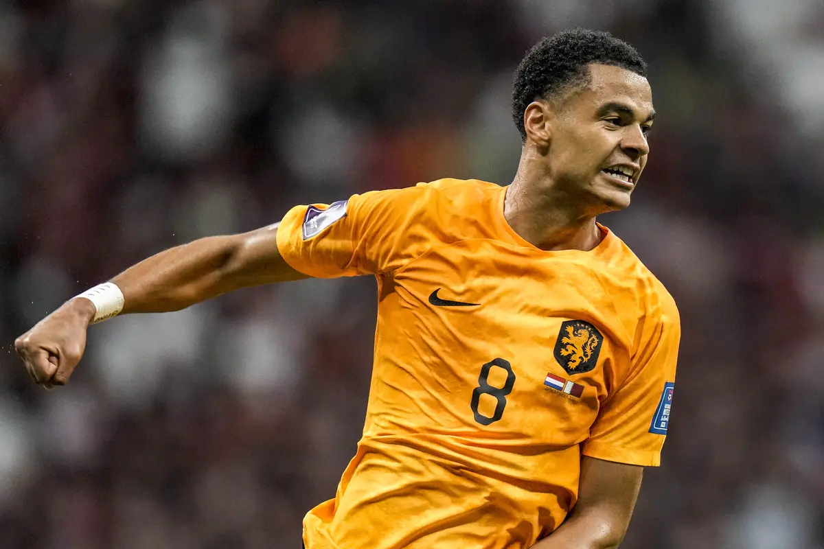 Timnas Belanda vs Timnas Qatar Grup A Piala Dunia 2022