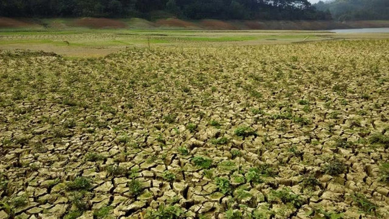 Ini waduk terbesar di Kebumen yang dilanda kekeringan parah