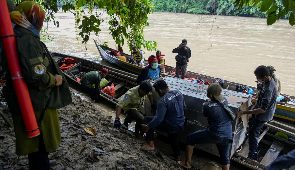 Foto yang diambil pada 20 Juni 2020 memperlihatkan petugas Balai Konservasi Sumber Daya Alam (BKSDA) Aceh memindahkan kerangkeng berisi Harimau Sumatra liar sebelum proses pelepasliaran di kawasan Taman Nasional Gunung Leuser (TNGL), Aceh. (CHAIDEER MAHYUDDIN / AFP)