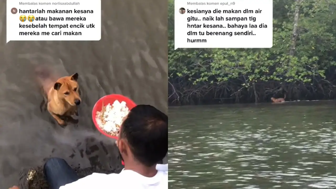 Perjuangan seekor anjing dapatkan makanan.