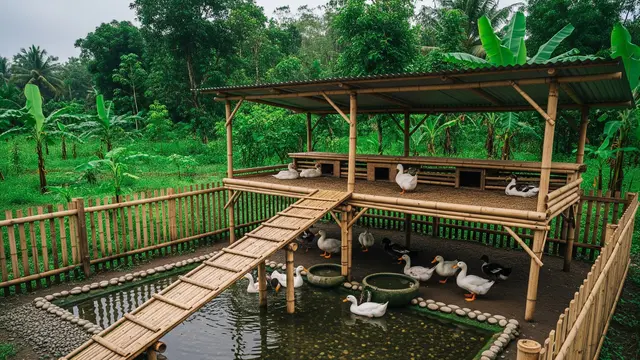 Kandang Semi Kering dengan Area Air Terbatas