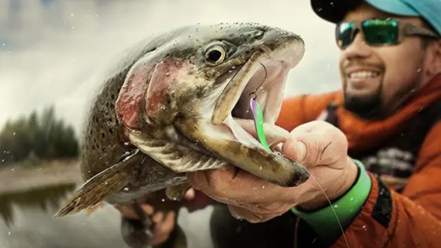 3 Teknologi Canggih untuk Memancing Banyak Ikan dengan Mudah