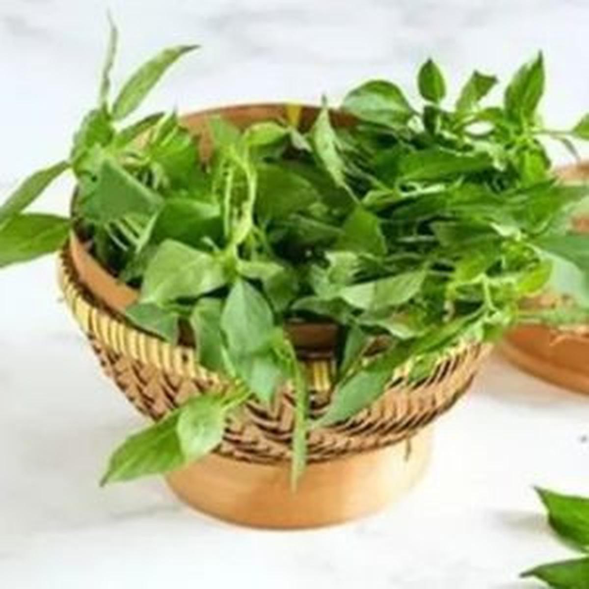 Cara Merebus Daun Kemangi yang Manjur Turunkan Tekanan Darah Tinggi, Penderita Hipertensi Yuk Simak