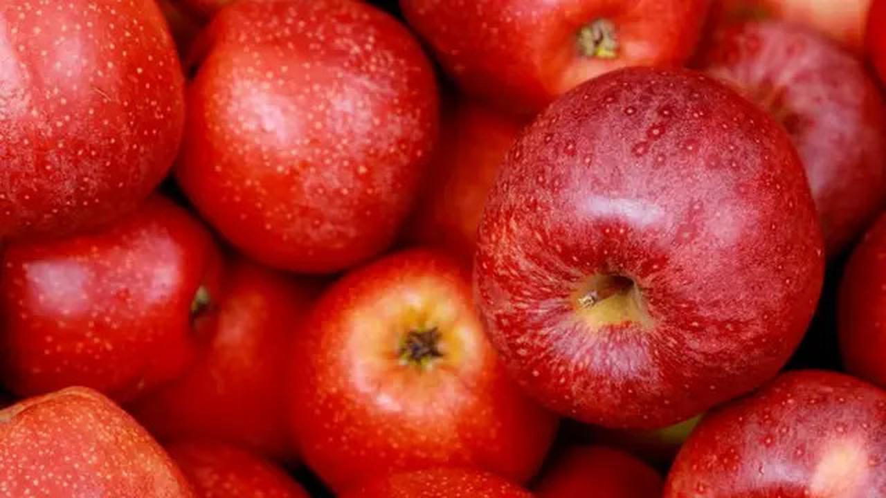 5 Makanan yang Sebaiknya Tidak Dicampur dengan Chia Seed, Bisa Bahayakan Kesehatan