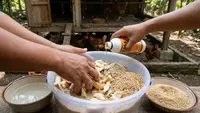 Cara Buat Pakan Ayam dari Roti Sisa yang Praktis, Murah, dan Kaya Nutrisi