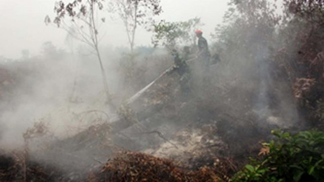 Aksi Paskhas atasi kabut asap di Pekanbaru