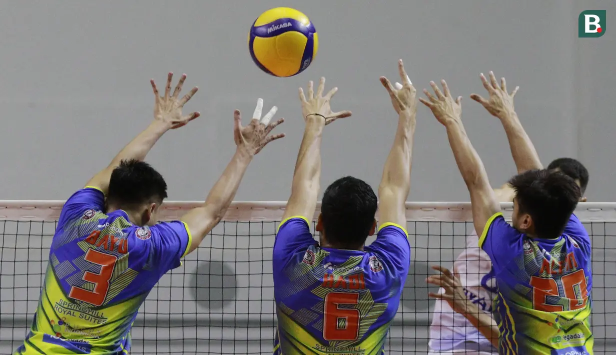 Tiga pemain Surabaya Bhayangkara Samator berusaha memblok bola saat melawan Bogor LavAni pada laga final four PLN Mobile Proliga 2022 di Padepokan Bola Voli Sentul, Jawa Barat, Sabtu (12/3/2022). Samator menang dengan skor 3-2 (21-25, 22-25, 27-25, 25-21, 15-12) (Bola.com/M Iqbal Ichsan)