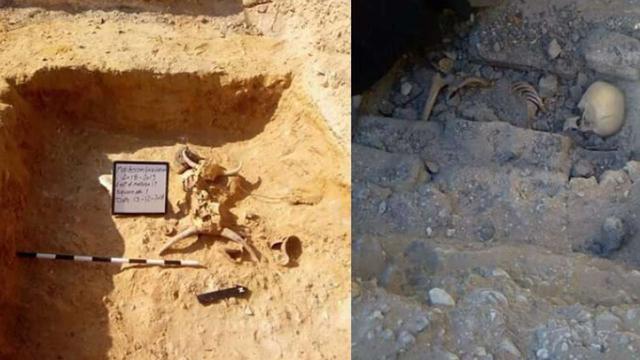 Arkeolog Temukan Kerangka Gadis Remaja di Dasar Piramida 4.600 Tahun